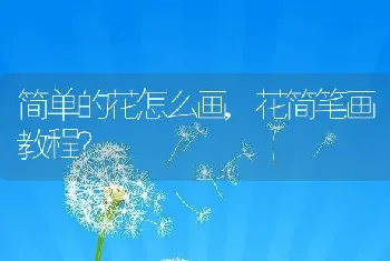 简单的花怎么画