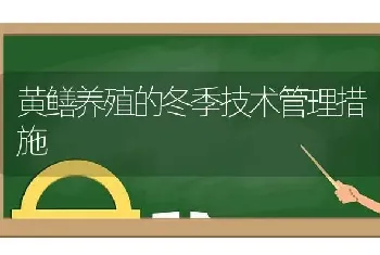 黄鳝养殖的冬季技术管理措施