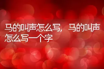 马的叫声怎么写,马的叫声怎么写一个字