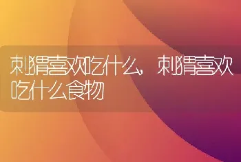 刺猬喜欢吃什么,刺猬喜欢吃什么食物