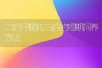 二龄仔蝎转三龄的短期饲养方法