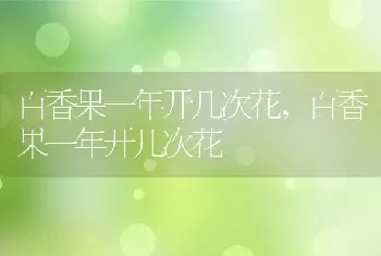 百香果一年开几次花