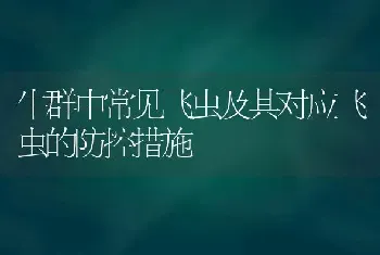 牛群中常见飞虫及其对应飞虫的防控措施