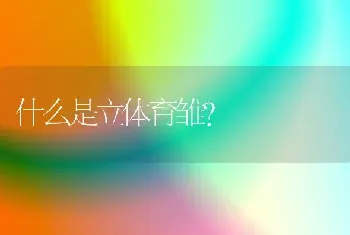 什么是立体育雏?