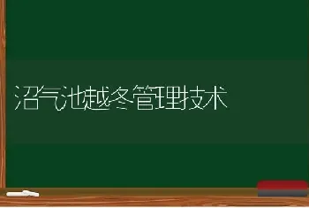 沼气池越冬管理技术