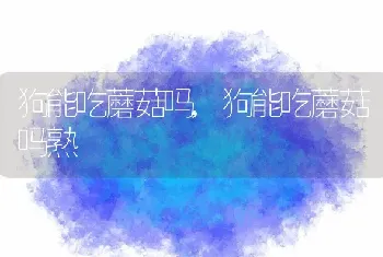 狗能吃蘑菇吗