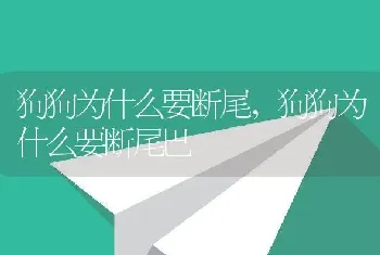 狗狗为什么要断尾,狗狗为什么要断尾巴