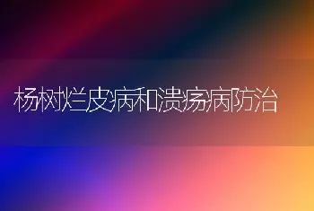 杨树烂皮病和溃疡病防治