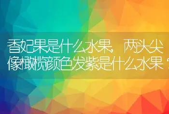 香妃果是什么水果