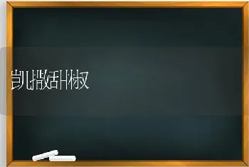 凯撒甜椒