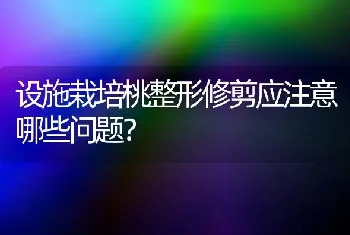 设施栽培桃整形修剪应注意哪些问题?