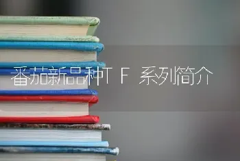 番茄新品种TF系列简介