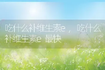 吃什么补维生素e,吃什么补维生素e最快