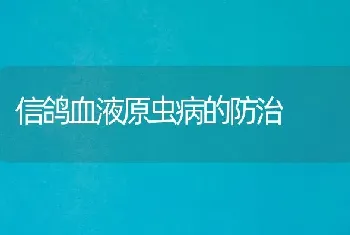 信鸽血液原虫病的防治