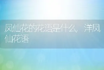 凤仙花的花语是什么