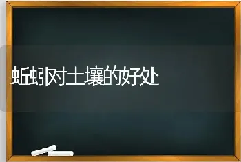 蚯蚓对土壤的好处