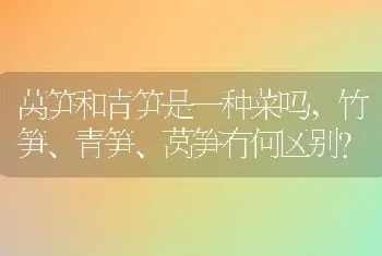 香椿与臭椿的区别