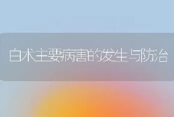 白术主要病害的发生与防治