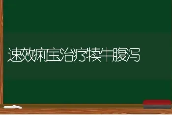 速效痢宝治疗犊牛腹泻