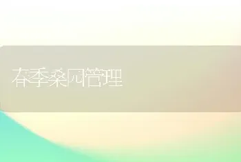 春季桑园管理