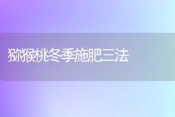 核桃园五月管理要点