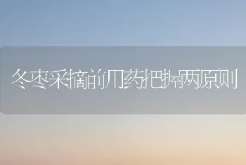 梨园采收后 管理莫放松