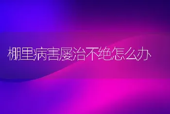 棚里病害屡治不绝怎么办