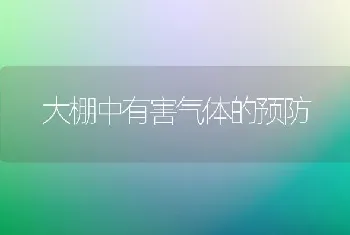 大棚中有害气体的预防