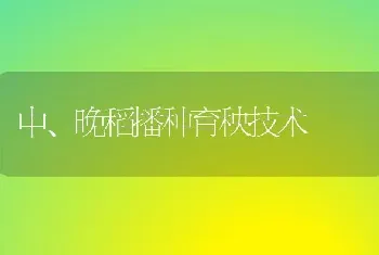 中、晚稻播种育秧技术