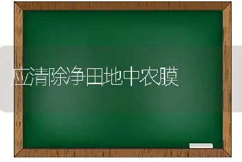 应清除净田地中农膜