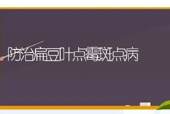 防治扁豆叶点霉斑点病