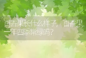 百香果长什么样子