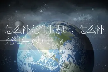 怎么补充维生素b