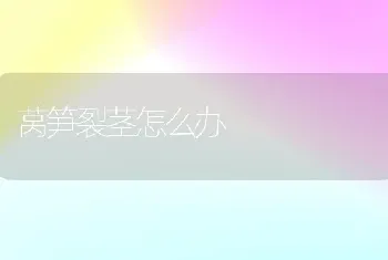 莴笋裂茎怎么办