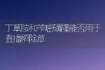 丁草胺和苄嘧磺隆能否用于直播稻除草