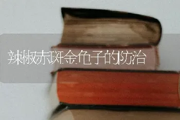 辣椒赤斑金龟子的防治