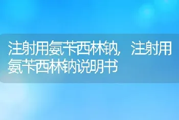 注射用氨苄西林钠