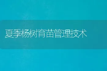 夏季杨树育苗管理技术