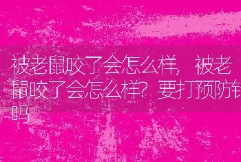 被老鼠咬了会怎么样,被老鼠咬了会怎么样?要打预防针吗