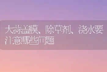 大蒜盖膜、除草剂、浇水要注意哪些问题