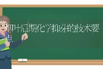 烟叶后期化学抑芽的技术要点