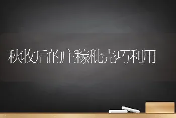 秋收后的庄稼秕壳巧利用