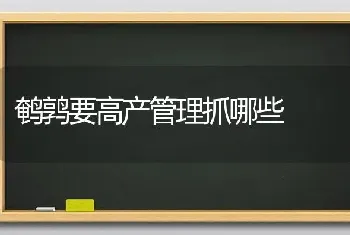 鹌鹑要高产管理抓哪些