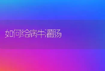 如何给病牛灌肠