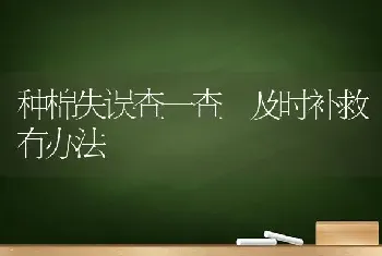 种棉失误查一查 及时补救有办法