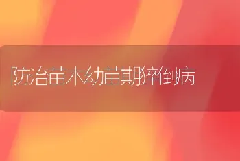 防治苗木幼苗期猝倒病