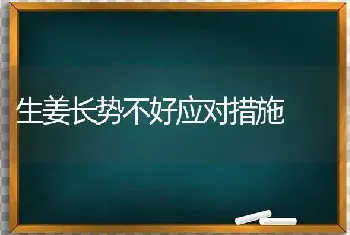 生姜长势不好应对措施