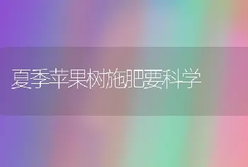 杂交中稻后期田管