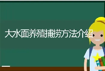 大水面养殖捕捞方法介绍