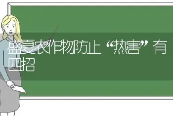 盛夏农作物防止“热害”有四招